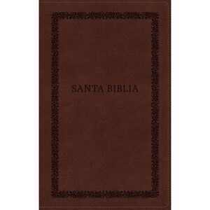 Rvr60, Santa Biblia, Tierra Santa, Letra Grande, Leathersoft, Café, Con Cierre,